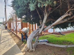 Fence Replacement at Coventry Dr, Campbell, CA 95008 - Portfolio