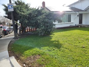 Fence Replacement at Coventry Dr, Campbell, CA 95008 - Portfolio