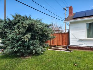 Fence Replacement at Coventry Dr, Campbell, CA 95008 - Portfolio