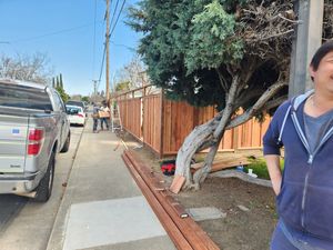 Fence Replacement at Coventry Dr, Campbell, CA 95008 - Portfolio