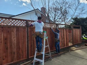 Fence Replacement at Coventry Dr, Campbell, CA 95008 - Portfolio