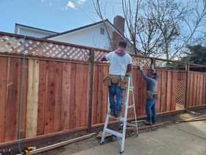 Fence Replacement at Coventry Dr, Campbell, CA 95008 - Portfolio
