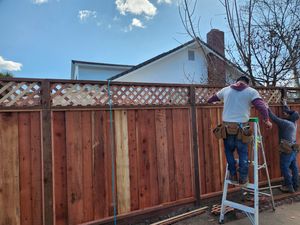 Fence Replacement at Coventry Dr, Campbell, CA 95008 - Portfolio