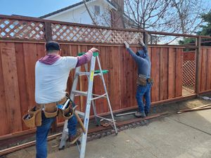 Fence Replacement at Coventry Dr, Campbell, CA 95008 - Portfolio