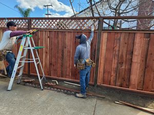 Fence Replacement at Coventry Dr, Campbell, CA 95008 - Portfolio