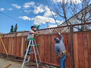 Fence Replacement at Coventry Dr, Campbell, CA 95008 - Portfolio