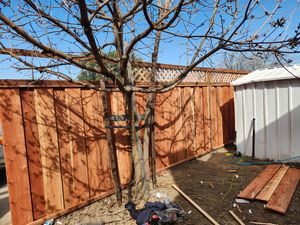 Fence Replacement at Coventry Dr, Campbell, CA 95008 - Portfolio