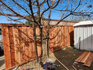 Fence Replacement at Coventry Dr, Campbell, CA 95008 - Portfolio