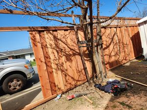 Fence Replacement at Coventry Dr, Campbell, CA 95008 - Portfolio