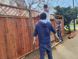 Fence Replacement at Coventry Dr, Campbell, CA 95008 - Portfolio