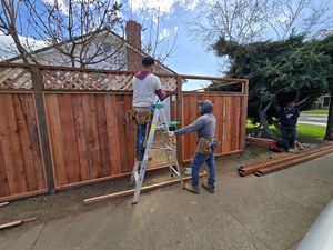 Fence Replacement at Coventry Dr, Campbell, CA 95008 - Portfolio