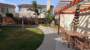 Backyard Garden Area with Lawn, Trees, and Patio Pergola