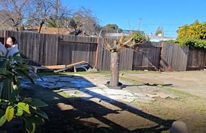 Detached ADU on Santa Clara Ave, Alameda, CA 94501